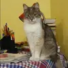 Отзыв от Элла Кулешова